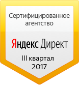 Сертификат TopSEO Яндекс Директ