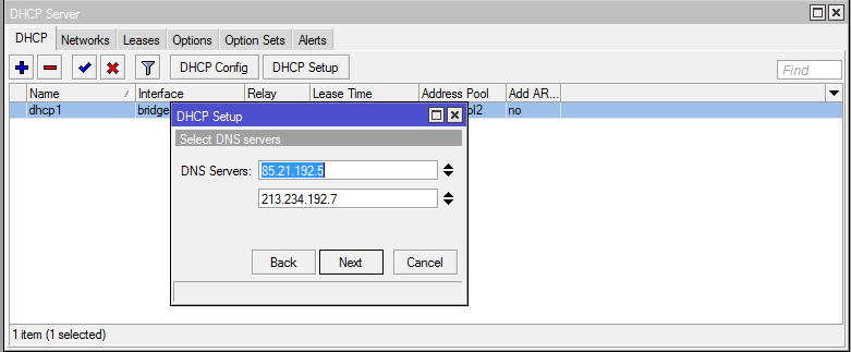 Присваиваем DNS–сервер